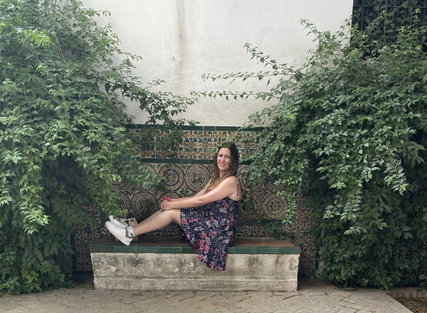Sofia sanadora